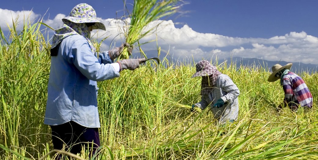 Case study: PwC / Climate Development Knowledge Network